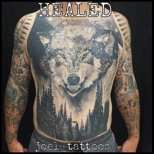 A healed front piece by Joel Speel man, a proof of solid tattooing beyond the healing process. #JoelSpeelman #wolf #HEALED