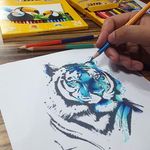 Lucas Rechia #LucasRechia #Inktober #desenho #drawing #desafio #challenge #tatuadoresdobrasil #tigre #tiger #aquarela #watercolor