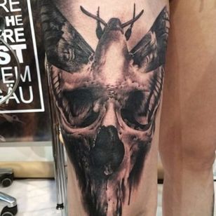 Blackwork asesino en este diseño de polilla de la muerte.  Tatuaje de Florian Karg #blackandgrey #realism #hyperrealism #FlorianKarg #darkart #kranier #visciouscircletattoo #germantattooers #deathsheadmoth