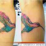 #passaro #bird #MarianaAmaral #MarianaAmaralTattoo #aquarela #watercolor #TatudoresDoBrasil #Tatuadora #brasil