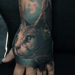 Sphinx cat tattoo by Florian Karg #Florian Karg #trashstyle #trashart #trash #trashpolka #realistic #dark #horror #graphic #sphinxcat #cat