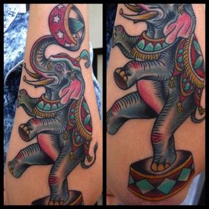 Circus Elephant Tattoo by Marco Sullivan #circuselephant #circus #elephant #traditional #MarcoSullivan
