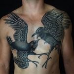 Odins Ravens Tattoo by Fran Massino #raven #mythology #odin #ravens #traditional #traditionaltattoo #americantraditional #classictattoo #FranMassino