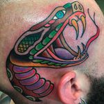 Scalp snake tattoo by Billy White. Photo: @billywhitetattoos #snake #snaketattoo #scalptattoo #billywhite