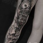 Owl and ivy tattoo by Robert A. Borbas #RobertABorbas #blackwork #blckwrk #macabre #owl #ivy