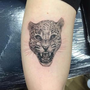 Cat on the prowl by Oliver Macintosh #OliverMacintosh #blackandgrey #realism #realistic #hyperrealism #junglecat #leopard #cat #cheetah #kitty #nature #animal #petportrait #tattoooftheday