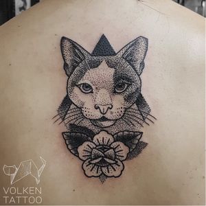 Cat tattoo by Volken #Volken #cat #dotwork #blackwork #blckwrk
