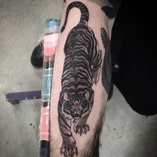 Tatuaje de tigre arrastrándose #blackwork #blackink #linework #blacktattoos #AlexSnelgrove #tiger #animals