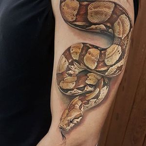 Boa constrictor by Led Coult #LedCoult #color #realism #snake #boa #reptile #tattoooftheday