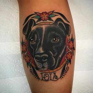 Lola by Phil DeAngulo (via IG-midwestphil) #dog #pet #animal #color #traditional #bold #PhilDeAngulo