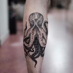 Octopus by Jonas Ribeiro #JonasRibeiro #blackwork #blackandgrey #linework #dotwork #illustrative #octopus #tentacles #oceanlife #ocean #tattoooftheday