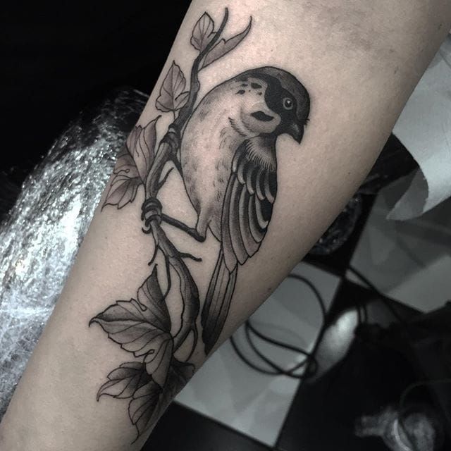 mighty sparrow/tattoo woman オリジナルレア mighty sparrow/tattoo woman オリジナルレア 芽瑠璃堂 ＞ マイティ