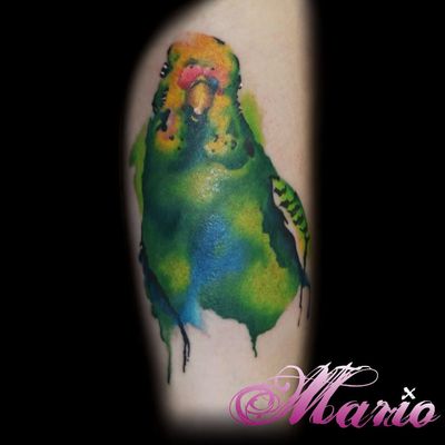 Explore the 46 Best Bird Tattoo Ideas (September 2017) • Tattoodo
