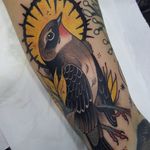 Bird in the sunshine by Toni Donaire #ToniDonaire #bird #feathers #wings #sun #leaves #fall #color #newtraditional #neotraditional #tattoooftheday