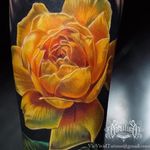 A brilliant yellow rose by Vic Vivid (IG-vicvivid). #color #realism #Roses #VicVivid