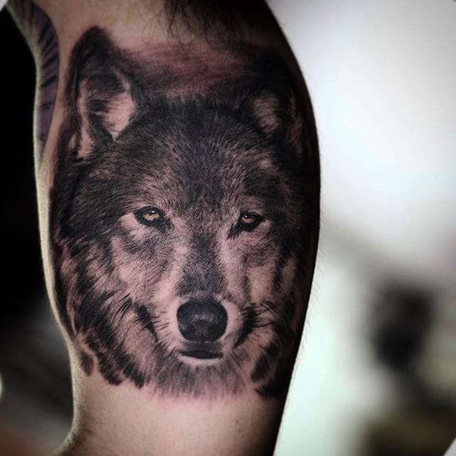 Tattoo uploaded by rcallejatattoo • Awesome wolf portrait tattoo done by Shine. #ShinhyeKim #Shine #blackandgrey #fineline #wolf #wolfportrait • Tattoodo Tattoo uploaded by rcallejatattoo • Awesome wolf portrait tattoo done by Shine. #ShinhyeKim #Shine #blackandgrey #fineline #wolf #wolfportrait • Tattoodo