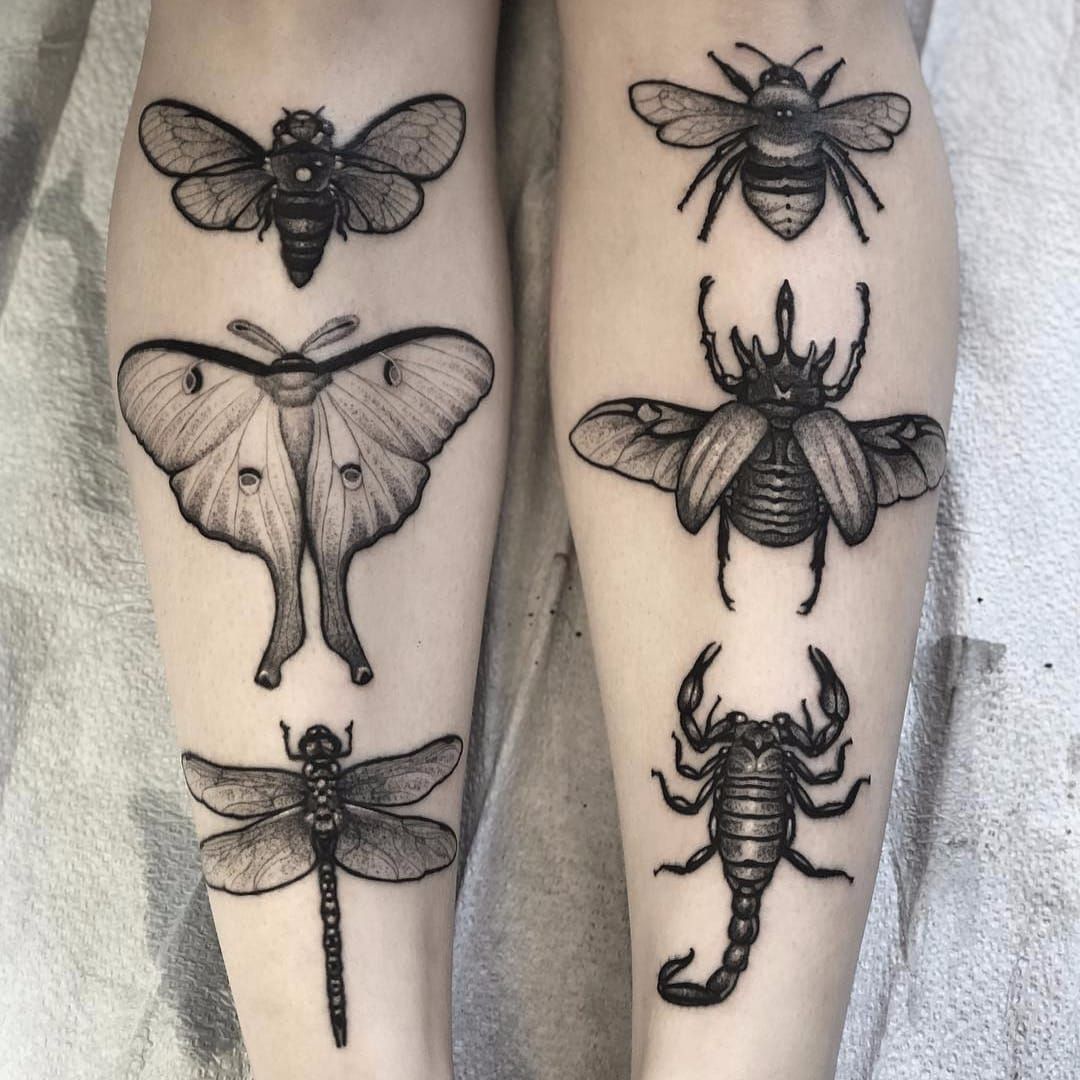 Individual matching moth and butterfly tattoo on the