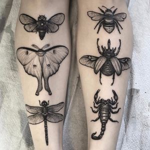 All the flying things by Nick Stegall #NickStegall #blackandgrey #realism #realistic #illustrative #bee #moth #dragonfly #butterfly #beetle #scorpion #insects #nature #wings #whiteink #tattoooftheday