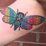 Por Tomas Garcia #TomasGarcia #gringo #colorido #colorful #tradicional #oldschool #degrade #padrao #pattern #arcoiris #rainbow #moth #mariposa #inseto #bug