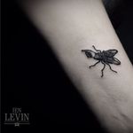 Funny little finger and fly tattoo by Ien Levin #fly #pointingfinger #blowfly #funny #blackwork #blckwrk #IenLevin