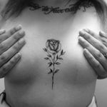 Rosa por Diogo Cogebriz! #DiogoCogebriz #tatuadoresbrasileiros #tatuadoresdobrasil #tattooBr #TattoodoBr #blackwork #blackworkers #dotwork #pontilhismo #rose #rosa #flower #flor #delicate #delicada