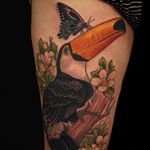 Toucan by Antony Flemming. #antonyflemming #neotraditional #toucan #flowers