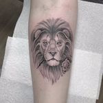 Lion and rose by Jordan Baxter #JordanBaxter #blackandgrey #realistic #realism #linework #dotwork #illustrative #lion #rose #flower #junglecat #nature #tattoooftheday
