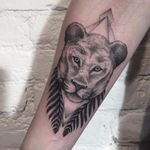 Gorgeous lioness tattoo by Sasha Masiuk #lioness #lion #SashaMasiuk #dotwork