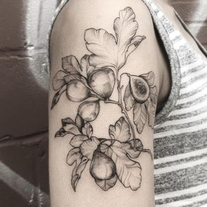 Fig tattoo by Lili #lillesnegl #Lili #blackandgreytattoo #lineworktattoo #finelinetattoo #figtattoo #foodtattoos #naturetattoo #leavestattoo #planttattoo #tattoooftheday