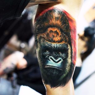 Gorila de realismo de color.  Por Mick Squires.  #realismo #farverealismo #dyr #gorila #MickSquires