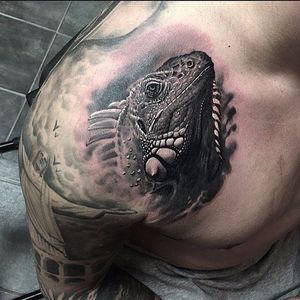 Iguana Tattoo by Sean Foy #iguana #iguanatattoo #lizardtattoo #lizardtattoos #reptiletattoo #reptiletattoos #reptile #lizard #blackandgrey #blackandgreyiguana #SeanFoy