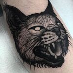 Awesome bobcat tattoo by Dom Wiley #bobcat #bobcattattoo #animal #animaltattoo #blackwork #DomWiley