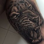 Tiger Tattoo by Samuel Rico #tiger #tigertattoo #blackandgrey #blackandgreyrealism #realism #animaltattoo #realisticanimal #realismanimaltattoo #blackandgreyanimal #SamuelRico