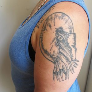 Nautilus on the shoulder (photo by Katie Vidan of the author) #Jewish #Tattooed #Jewwithtattoos #torah