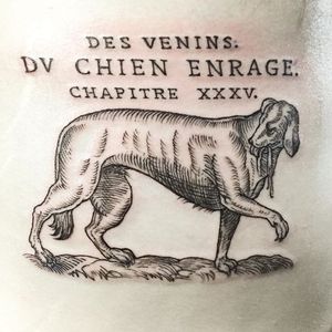 Rabies kills fine line illustrative tattoo by Maggie Cho Brophy. #blackwork #linework #MaggieChoBrophy #dog #illustrative #fineline #rabies