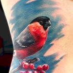 Clean and solid bird tattoo by Tatyana Kashtan. #TatyanaKashtan #coloredtattoo