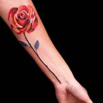 Gorgeous rose tattoo by Federica Stefanello #graphic #FedericaStefanello #rose