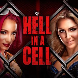 Hell in a Cell. #WWE #WWESuperstars #HellinaCell
