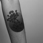 Vegetal tattoo by Dotyk #Dotyk #geometric #dotwork #blackwork #vegetal #botanical #subtle