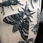 Moth Tattoo by Matt Craven Evans #moth #blackwork #blackworkart #darkart #blackworkartist #traditionalblackwork #MattCravenEvans