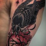 Crow Heart Tattoo by Giacomo Sei Dita #TraditionalTattoo #TraditionalTattoos #ClassicDesigns #ClassicTattoos #OldSchool #GiacomoSeiDita #heart #bird #traditional #redandblack