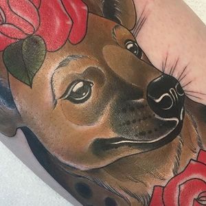 Detail of an adorable Hyena pupper, by Amy Savage. (via IG—amyvsavage) #neotraditional #painterlystyle #amysavage #animal #cute