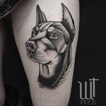 Dotwork doberman tattoo by Peco Wolftown. #blackwork #linework #dotwork #dog #doberman #PecoWolftown
