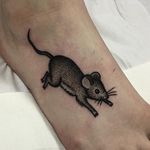 Mouse Tattoo by Sarah Whitehouse #mouse #mousetattoo #dotworkanimal #dotwork #dotworktattoo #animal #SarahWhitehouse