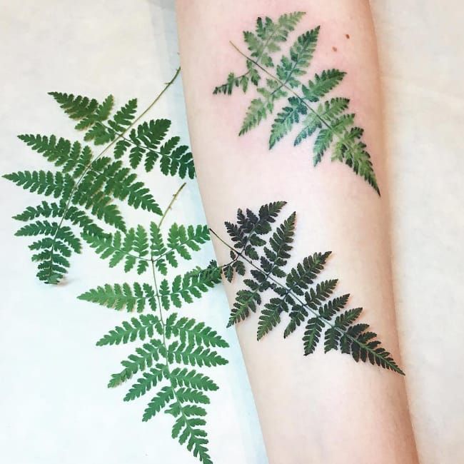 Fern Tattoo Set Celebrates Nature with Plant and Crystal Tattoos