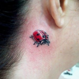 #joaninha #ladybug #FelipeMello #aquarela #watercolor #fineline #exclusivas #brasil #brazil #portugues #portuguese