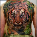 Beautiful tiger portrait tattoo #tiger #animalportrait #backpiece #portrait #realistic #AlexandrRomashev