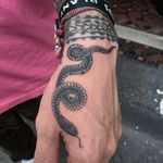 Black and grey snake by Big Steve NYC #BigSteveNYC #blackandgrey #snake #linework #tattoooftheday