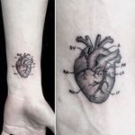 Black and Grey Anatomical Heart by Mr.K / Sanghyuk Ko @mr.k_tats #BlackandGrey #heart #anatomy #singleneedle #micro #mr.k #sanghyukko