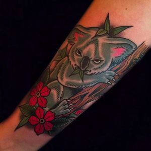 Bright and Bold Neotraditional Koala Tattoo by Steffan Ross @SteffanRoss #SteffanRossTattoo #IdleHandTattoo #neotraditional  #Cute #KoalaTattoo #Koala